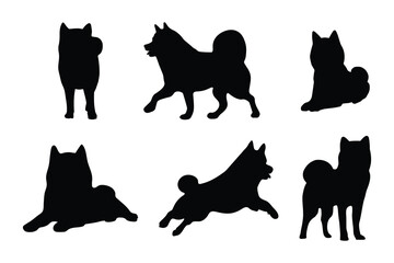 vector, isolated black silhouette of a dog, collection