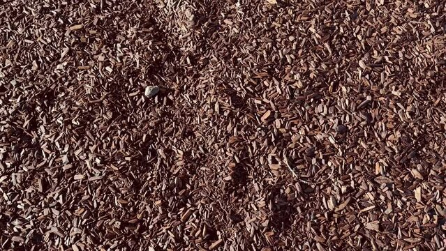 Garden mulch is a protective layer of material spread over soil to retain moisture, suppress weeds, and regulate temperature.