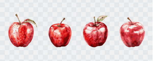 Apple watercolor isolated graphic transparent