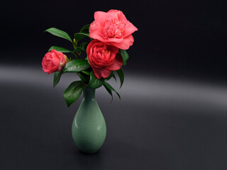 camellia in vase 