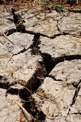 Close up dried up, mud cracks by drought, climate change by global warming, surface of rice field arid in dry dry hot season at Mekong Delta, Viet Nam