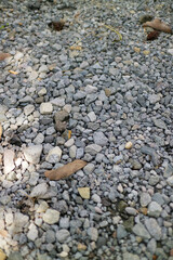 hundreds of small, brightly colored pebbles in a garden