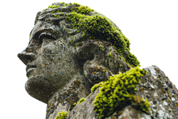 A weathered stone statue adorned with a vibrant green moss coat, symbolizing the passage of time and the enduring power of nature., realistic photos on a white background