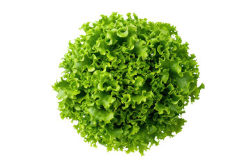 Fototapeta premium A photo of a bunch of fresh kale leaves, their ruffled edges and deep green color contrasting with the clean white background. ., realistic photos on a white background