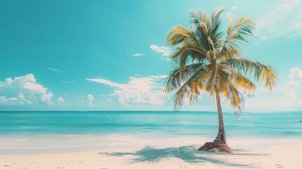 Breathtaking natural landscape of a palm tree swaying gently on a tropical island beach under the sunny blue sky