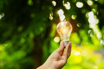 
Light bulbs that grow, in the concept of energy in nature.