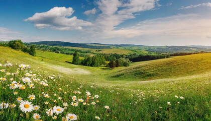 Firefly Beautiful spring and summer natural panoramic pastoral landscape with blooming field of dais 