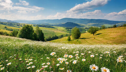 Firefly Beautiful spring and summer natural panoramic pastoral landscape with blooming field of dais 