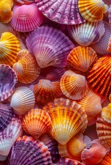 Many colorful shells are arranged in a row.