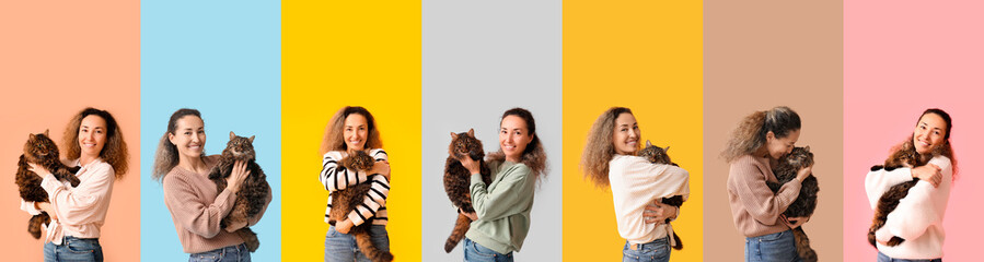 Set of woman with fluffy cat on color background