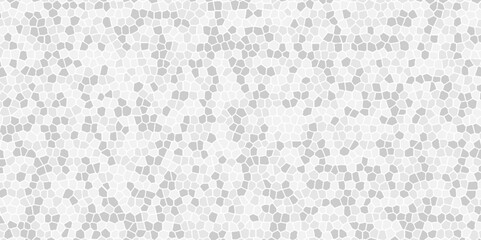 White wall stone paper texture background and terrazzo flooring texture polished stone pattern old surface marble background. Monochrome abstract dusty worn scuffed background.