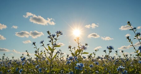 A fresh spring blue sunny sky background with blurred warm sunny glow.