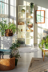 Interior of light living room with green plants, shelf unit and drawers