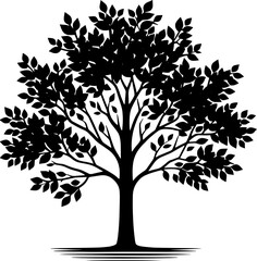 Beech Tree icon 15