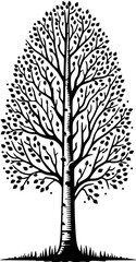 Obraz premium Aspen Tree icon 7