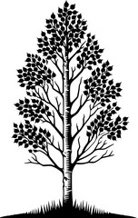 Obraz premium Aspen Tree icon 8