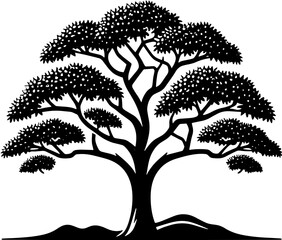 Amur Cork Tree icon 2