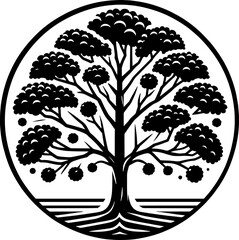 American Sycamore Tree icon