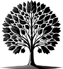American Sycamore Tree icon 13