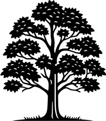 American Sycamore Tree icon 10