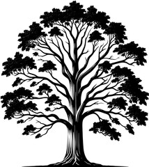 American Sycamore Tree icon 9