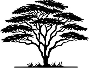 Acacia Tree icon 9