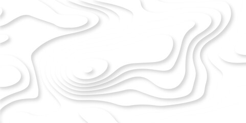 Modern light luxury digital lines black and white carve wave line abstract luxury papercut design background. vector minimal light element shadow landscape wave element curve graphic papercut design.