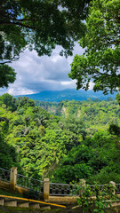 Ngarai Sianok, or Sianok Canyon, is the most beautiful scenery and the favorite tourism place in West Sumatera, located between Bukittinggi City and Agam Regency.