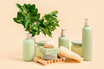 Composition with different cosmetic products and plant branch on color background