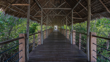 A straight wooden pedestrian bridge with a thatched roof runs through a tropical mangrove forest. Thickets of green trees on the sides. Philippines. Palawan. 