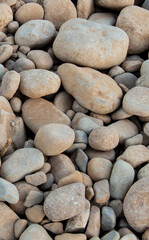 Multiple shingle in the river