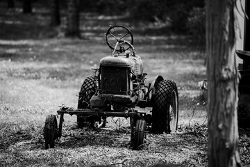 Vintage Tractor in Countryside