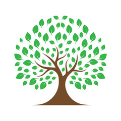 Obraz premium shade tree conservation logo design