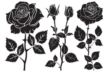 Set of decorative rose with leaves. Flower silhoutte. Vector illustration
