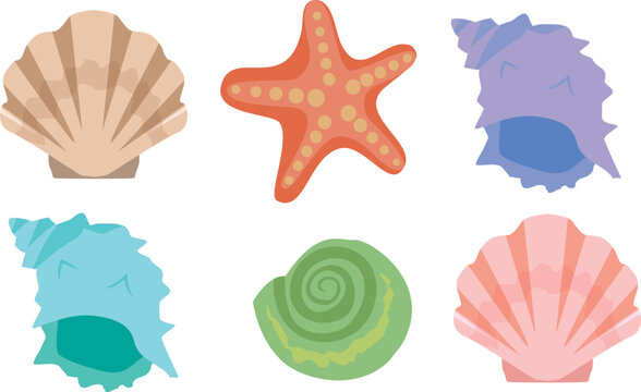 カラフルな貝のベクターイラスト