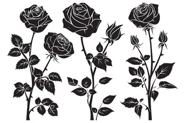 Rose Flower Vector black Silhouettes isolated on a white background, Set of decorative roses with leaves Clipart
