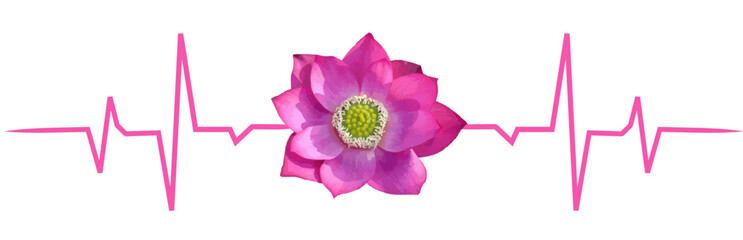 Fototapeta premium line art lotus flower for a vesak day