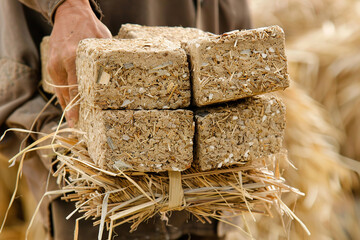 A man carries a bundle of hempcrete blocks for eco-building projects, promoting sustainable materials.