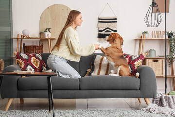 Young woman holding her Beagle dog paw on sofa in living room