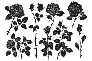 set of Rose silhouettes vector illustration