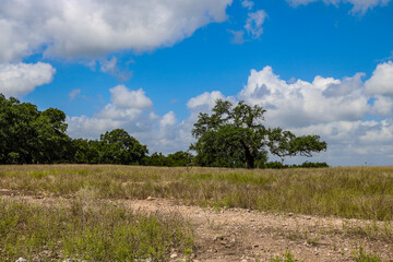 Obraz premium West Texas landscape view near San Antonio.