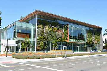 Modular green walls, integrating nature into urban environments for sustainability.