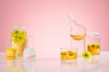 White flat form displaying many types of laboratory equipment above, over light pink background with gradient effect. Calendula experiment concept for advertising