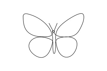 Butterfly continuous one line drawing of  Isolated outline vector art white background