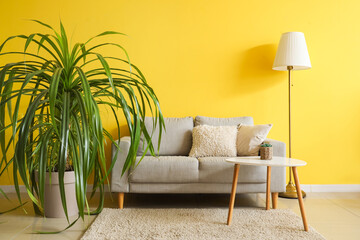 Interior of living room with sofa, houseplant, lamp and coffee table