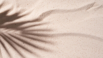 Banner of Palm leaf shadow on sand, top view, copy space