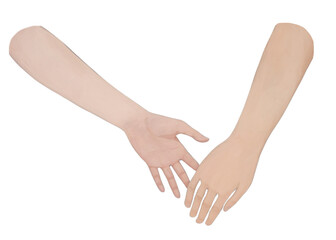 PNG  Hand holding stars adult togetherness astronomy. AI generated Image by rawpixel.