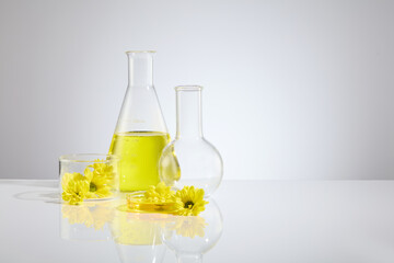 A group of lab item including erlenmeyer flask with yellow liquid, boiling flask, petri dish and glass holding cup, decorated by some calendula, over white background. Copy space, front view