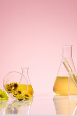 A creative photo of front view with lab items featured on pink background, a erlenmeyer flask with calendula extract, test tube and funnel, decorated by fresh flowers. Empty space for showing product