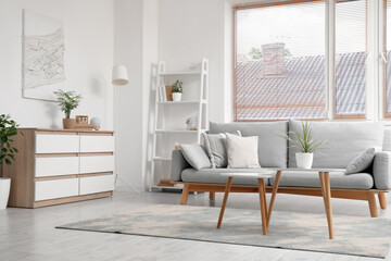 Interior of modern light living room with wooden chest of drawers and comfortable sofa